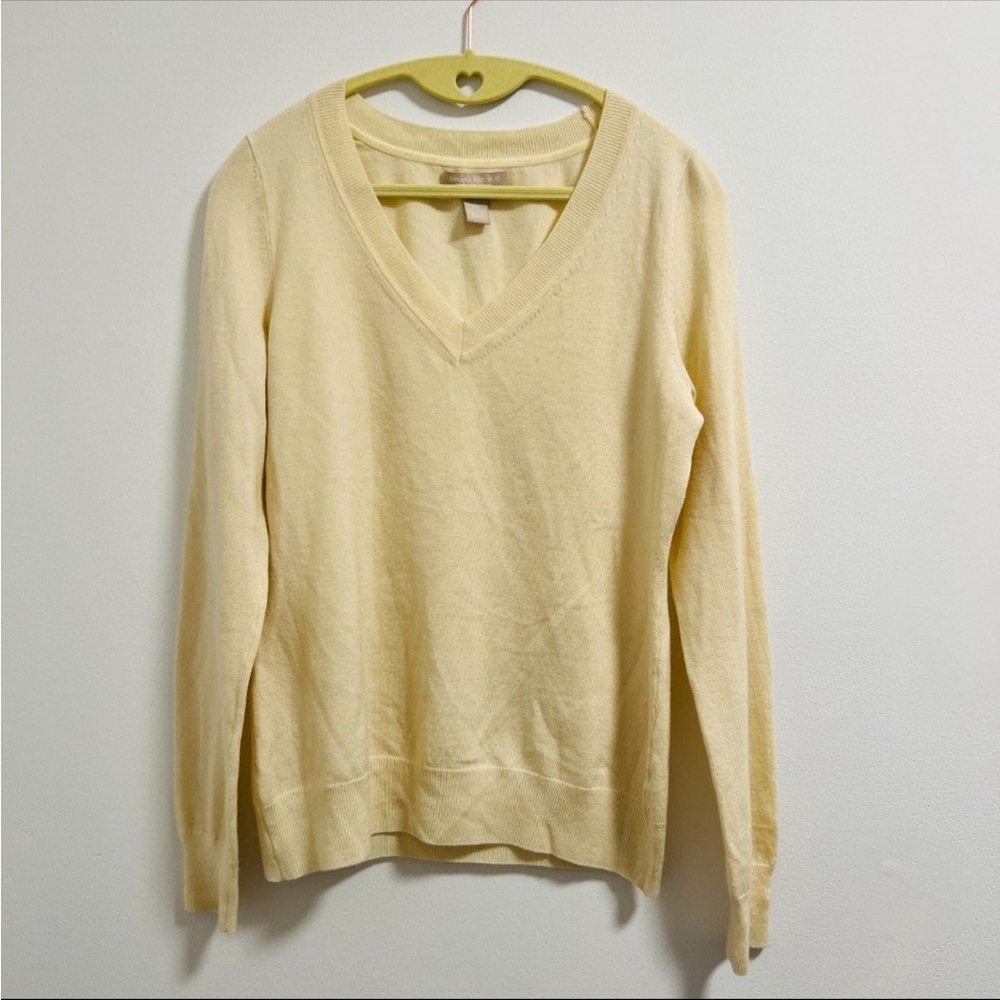 Banana Republic Extra Fine Merino V-Neck Top